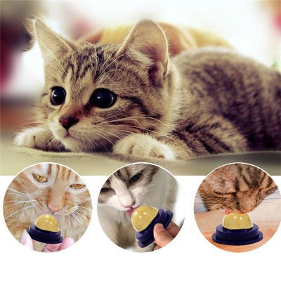 Guloseima Saudável Para Gatos Catnip - SHOPBOX BRASIL